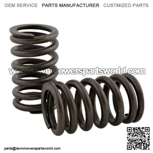 R-3900276 Valve Spring Fits Case