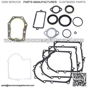 Lawn Mower Gasket Set Fit For Briggs & Stratton Replace 494241 490525 480-149