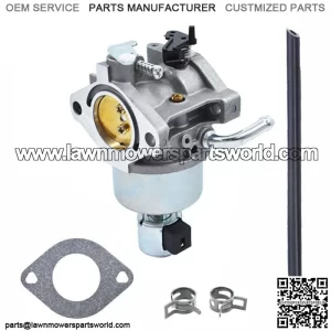 594601 796250 795486 NEW Carburetor Fit For Briggs and Stratton 794136 US