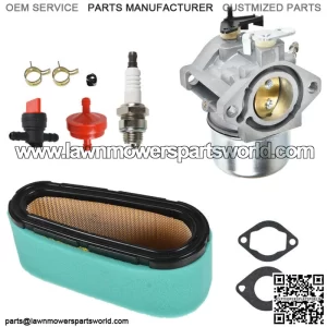 Carburetor Fit For Briggs & Stratton 286702 286707 289702 289707