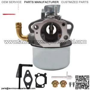 Carburetor For Briggs & Stratton 798653 Replaces 697354 790290 791077 698860