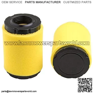 2Pack 591334 Air Filter, Compatible with 796031 594201 OEM Air Cleaner Cartridge, Lawn Mower Air Filter, Plus Foam Pre Filter