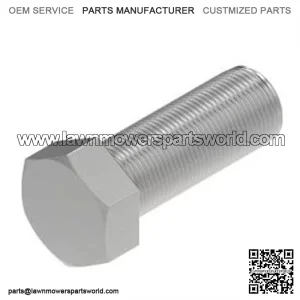 Hexagonal Head Bolt, M20 X 55