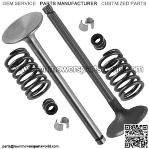6201701-S 2408902-S 1275503-S Exhaust & Intake Valve Kit For Kohler