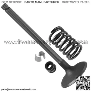 6201701-S 2408902-S 2503214-S 1275503-S Intake Valve Kit For Kohler