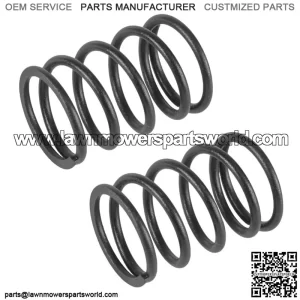 Valve Spring Set for John Deere M120242 w/ Kawasaki FD590V Engine 2x