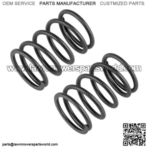 2 Engine Cylinder Intake And Exhaust Valve Spring Fits John Deere M135854