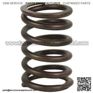 S.65711 Valve Spring - Outer Fits Case IH