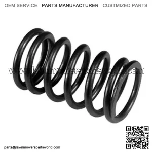 S.62066 Spring Valve 4780108 Fits Someca