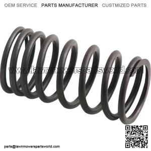 AM31744131 Inner Valve Spring