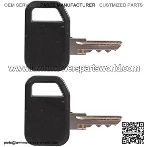 Key, Padded Ignition (2 Keys) Am131841